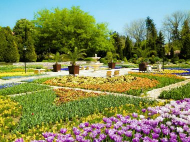Bulgaristan 'ın Dobrich ilindeki Balchik Sarayı' nın bahçesinde. Yaz zamanı, bir sürü çiçek. Turizm konsepti.
