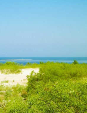 Sobieszewska Adası 'ndaki Baltık Denizi Kıyısı. Vistula Nehri 'nin kıyısında. Kuzey Polonya 'nın doğası.