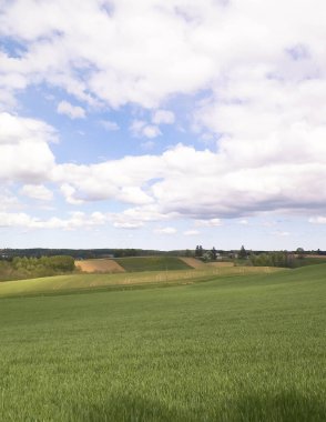 Kashubian Bölgesi, Wiezyca 'daki yeşil tarlalar ve tepeler. Wiezyca Polonya 'nın turistik bölgesidir.