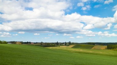 Kashubian Bölgesi, Wiezyca 'daki yeşil tarlalar ve tepeler. Wiezyca Polonya 'nın turistik bölgesidir.