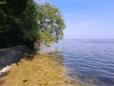 Baltık Denizi 'nin vahşi kıyıları. Puck Bay 'de. Seyahat ve güzellik doğada var..