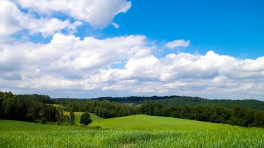 Wiezyca Kashubia bölgesinin tepeleri ve tarlaları, Polonya. Seyahat ve doğa kavramı.