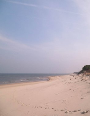 Güneşli bir günde Baltık kıyısı. Tembel, Polonya seyahati ve doğa konsepti.