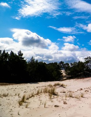 Stilo 'daki kum tepeleri, Leba. Kuzey Polonya 'nın kıyı bölgesi.