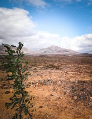 Çöl ve dağlar Lanzarote adasının tipik bir manzarasıdır. Kanarya Adaları takımadaları.