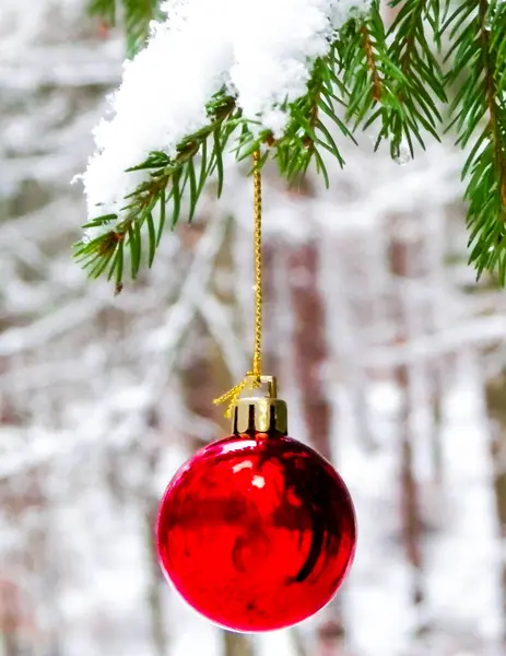 木の小枝にクリスマスボール クリスマスだ スペースのコピー ストック画像