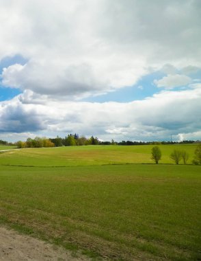 Kashubian Bölgesi, Wiezyca 'daki yeşil tarlalar ve tepeler. Wiezyca Polonya 'nın turistik bölgesidir.