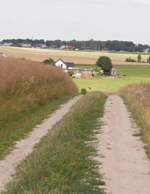 Kashubia 'daki tarlaların üzerinden. Polonya. Turistik konsept - seyahat ve doğa konsepti.