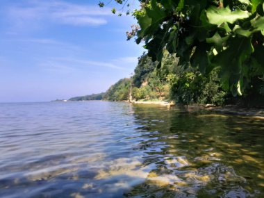 Baltık Denizi 'nin vahşi kıyıları. Puck Bay 'de. Seyahat ve güzellik doğada var..