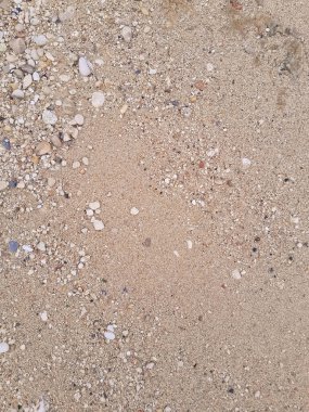 Zemin doğal arka plan. Boşluğu kopyala.