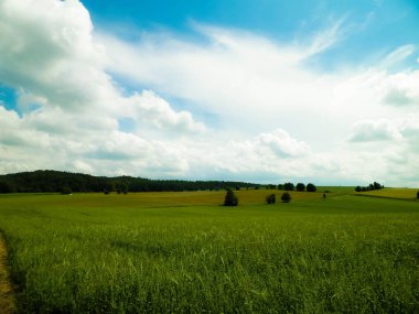 Wiezyca Kashubia bölgesinin tepeleri ve tarlaları, Polonya. Seyahat ve doğa kavramı.