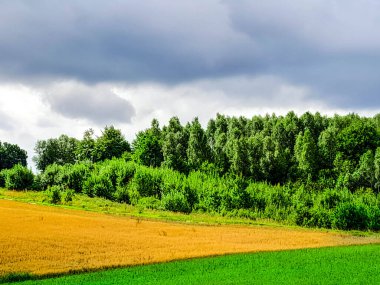Kashubia Polonya 'da bulutlu bir gün. Bulutlar tepelerin üzerinde toplanıyor. Fırtına geliyormuş. Kuzey Polonya 'nın güzelliği. Pomerania Kashubia Wiezyca Bölgesi.