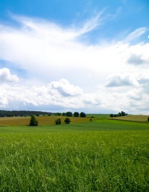 Wiezyca Kashubia bölgesinin tepeleri ve tarlaları, Polonya. Seyahat ve doğa kavramı.