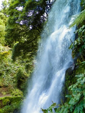 Ribeira Botanik Bahçesi 'ndeki büyük şelale Guilherme So Miguel Adası' nda. Azores arhipelagosunun vahşi, egzotik doğası.