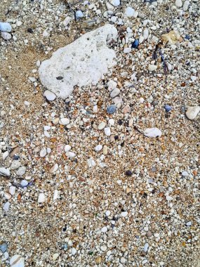 Zemin doğal arka plan. Boşluğu kopyala.