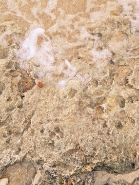 Doğal bir arka plan olarak kıyı kayaları ve deniz suyu. Boşluğu kopyala.