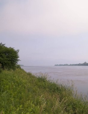 Vistula 'nın haliçleri Sobieszewska adasından görüldü. Kuzey Polonya 'nın doğası.
