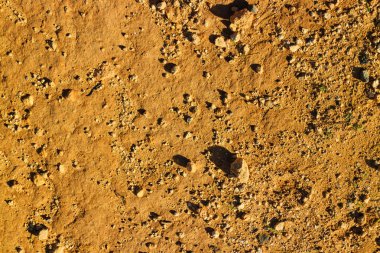 Doğal arka plan olarak çöl kumu. Boşluğu kopyala.