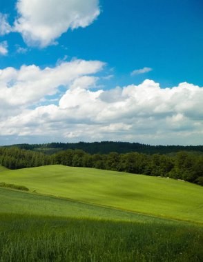 Ostrzyckie Gölü ve Wiezyca Bölgesi, Pomerania, Kashubia, Polonya 'nın güzel manzarası.