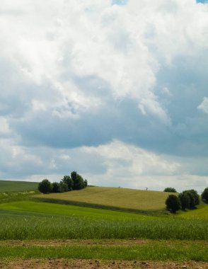 Wiezyca Bölgesi, Pomerania, Kashubia, Polonya 'nın güzel tepeleri ve çayır manzarası.