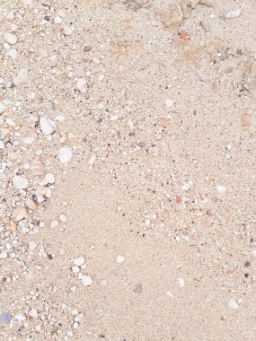 Zemin doğal arka plan. Boşluğu kopyala.