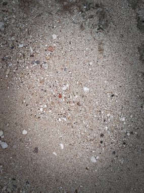 Zemin doğal arka plan. Boşluğu kopyala.