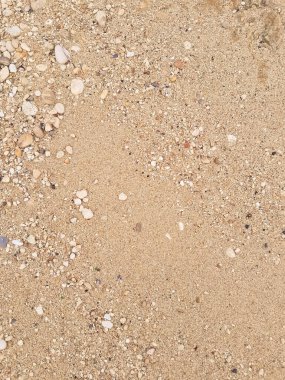 Zemin doğal arka plan. Boşluğu kopyala.