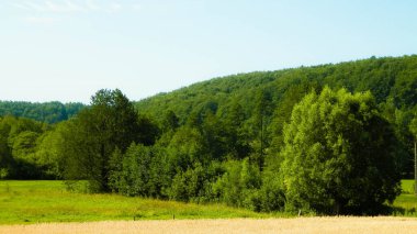 Polonya 'nın Kashubian bölgesinde, Wiezyca' nın arazi ve tepeleri. Tarım ve keşif kavramı.