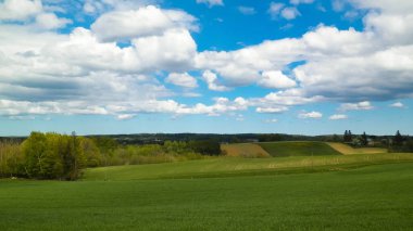 Kashubia bölgesindeki yeşil alanlar, Kuzey Polonya. Bulutlu bir gün, seyahat ve doğa konsepti.