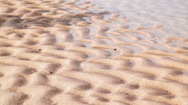Deniz kıyısı doğa arka planıdır. Boşluğu kopyala.