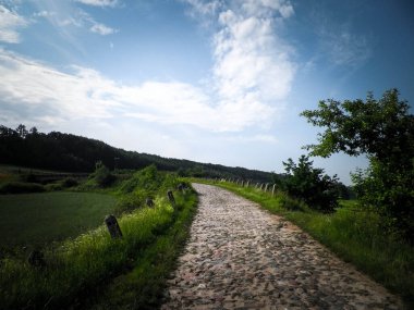 Wiezyca, Polonya 'daki tarlaların içinden. Kashubia doğası - Kuzey Polonya 'nın güzel bölgesi.