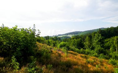 Polonya 'nın merkezi Kashubia' nın güzelliği. Orman ve dağ manzarası. Seyahat ve doğa kavramı.