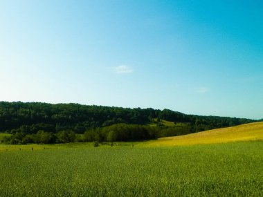 Wiezyca, Kashubian Bölgesi, Polonya 'da çayır ve tepelerin manzarası. Turizm ve keşif kavramı.