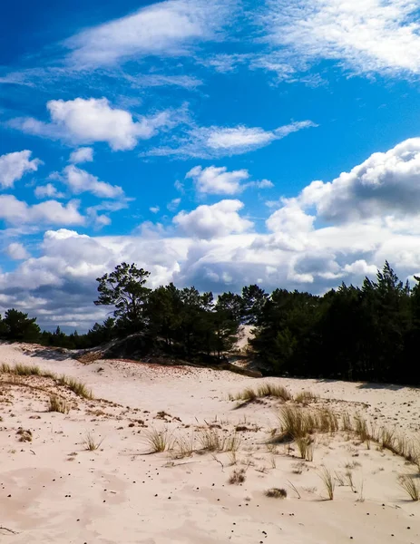 Stilo 'daki kum tepeleri, Leba. Kuzey Polonya 'nın kıyı bölgesi.