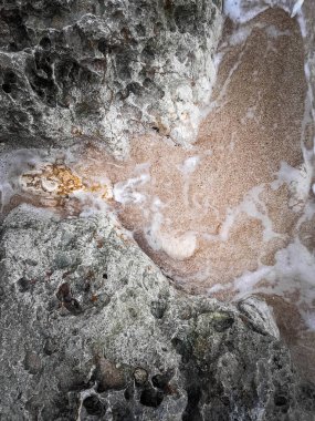 Doğal bir arka plan olarak kıyı kayaları ve deniz suyu. Boşluğu kopyala.