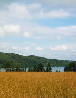 Wiezyca 'daki Ostrzyckie Gölü. Kuzey Polonya 'daki Kashubia Bölgesi yaz ve kış aylarında çok popüler bir turizm merkezidir..