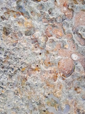 Doğal bir arka plan olarak kıyı kayaları ve deniz suyu. Boşluğu kopyala.