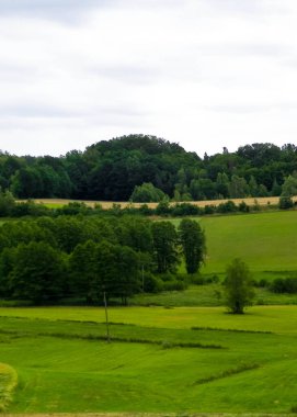 Wiezyca 'nın tarlaları ve çayırları. Wiezyca, Kashubia Bölgesi 'nin popüler bir turistik bölgesidir. Polonya