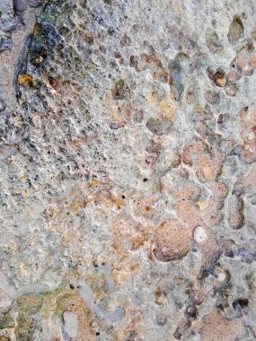 Doğal bir arka plan olarak kıyı kayaları ve deniz suyu. Boşluğu kopyala.