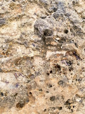 Doğal bir arka plan olarak kıyı kayaları ve deniz suyu. Boşluğu kopyala.