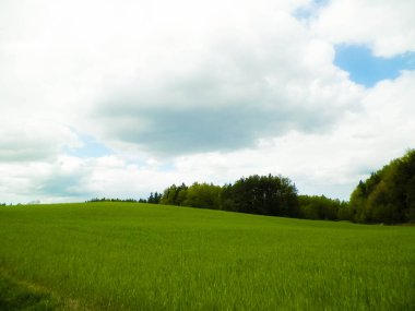 Kashubia bölgesindeki yeşil alanlar, Kuzey Polonya. Bulutlu bir gün, seyahat ve doğa konsepti.