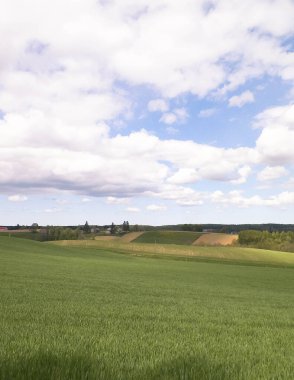 Kashubia bölgesindeki yeşil alanlar, Kuzey Polonya. Bulutlu bir gün, seyahat ve doğa konsepti.