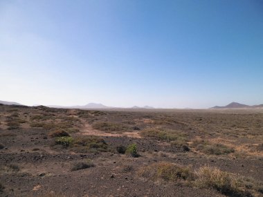 Çöl manzarası, Lanzarotte, Kanarya Adaları. Çöl, Lanzarote adasındaki tipik bir manzaradır. Seyahat ve doğa kavramı.