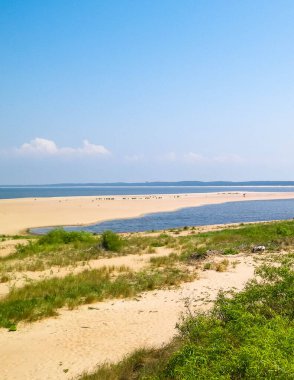 Sobieszewska Adası 'ndaki Baltık Denizi Kıyısı. Vistula Nehri 'nin kıyısında. Kuzey Polonya 'nın doğası.