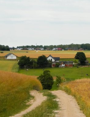 Road over fields in Kashubia. Poland. Touristic concept - travel and nature concept. clipart