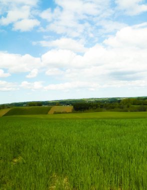 Kashubia bölgesindeki yeşil alanlar, Kuzey Polonya. Bulutlu bir gün, seyahat ve doğa konsepti.