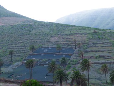 Lanzarote adasının kuzeyindeki dağ manzarası. Lanzarote adasının güzel, vahşi, tropikal doğası. Vahşi bitki örtüsü ve keşif konsepti.