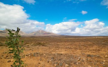 Çöl ve dağlar Lanzarote adasının tipik bir manzarasıdır. Kanarya Adaları takımadaları.