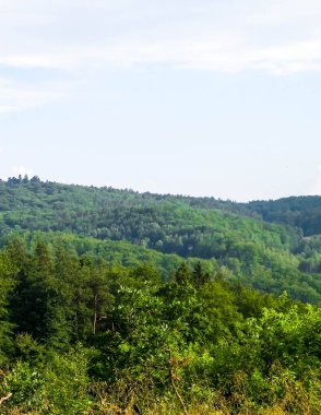 Wiezyca 'nın dağlık manzarası. Wiezyca, Polonya 'nın Kashubia bölgesinin dağlık pazarıdır..