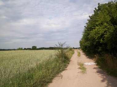 Kashubia 'daki tarlaların üzerinden. Polonya. Turistik konsept - seyahat ve doğa konsepti.